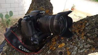 ¿Quieres aprender fotografía? Canon EOS 550D