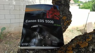 ¿Quieres aprender fotografía? Canon EOS 550D
