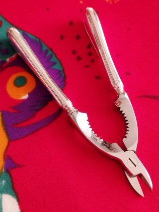 Elegante Pinza da spumante Argenterie Greggio