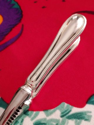 Elegante Pinza da spumante Argenterie Greggio