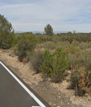 Terreno rústico de 5.000 m² en Pedralba – 4.900 €