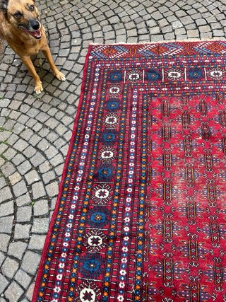 Tappeto persiano lana rosso blu 280x180