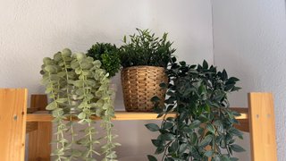 4 Plantas Artificiales Decorativas