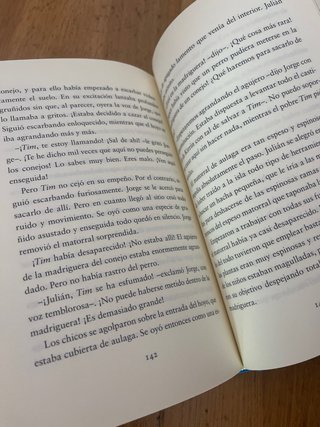 Los Cinco y El Tesoro de La Isla