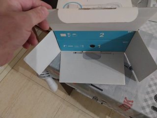 Consola Wii + Lote Juegos y Accesorios