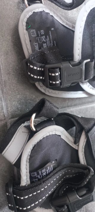Arneses para perro