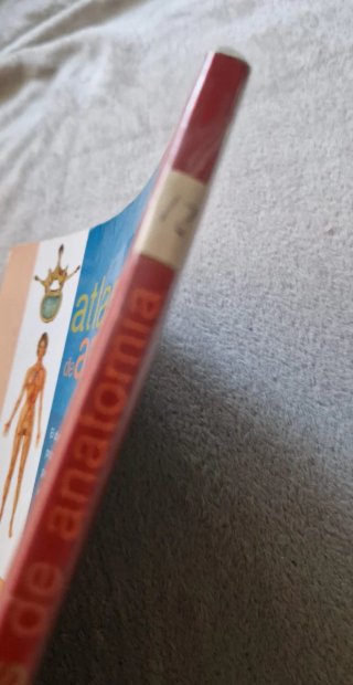 Atlas Basico de Anatomia