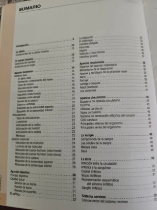 Atlas Basico de Anatomia