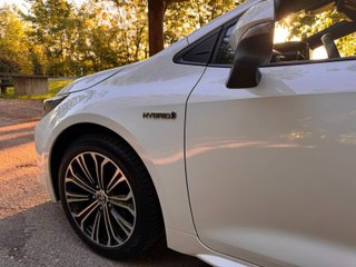 Toyota Corolla DESPIECE