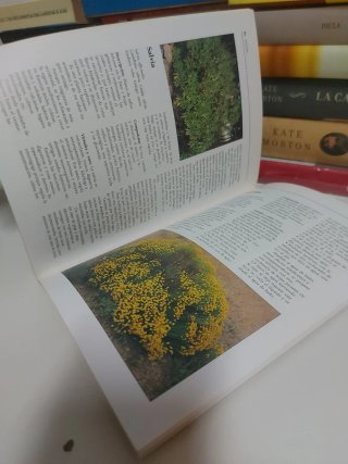 Conocer las plantas medicinales