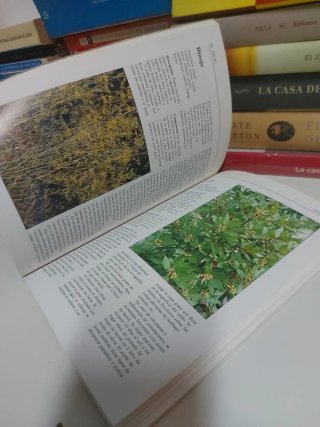 Conocer las plantas medicinales