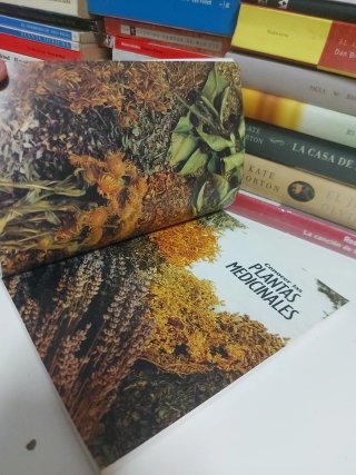 Conocer las plantas medicinales