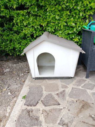 Casetta per cani in plastica