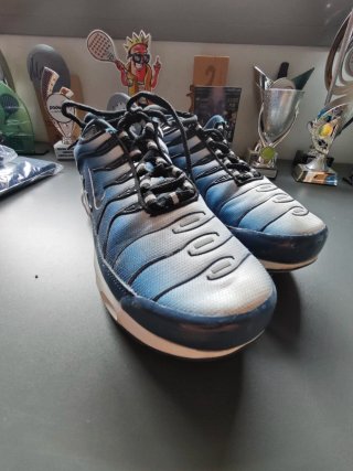 Zapatillas Nike Air Max Plus TN