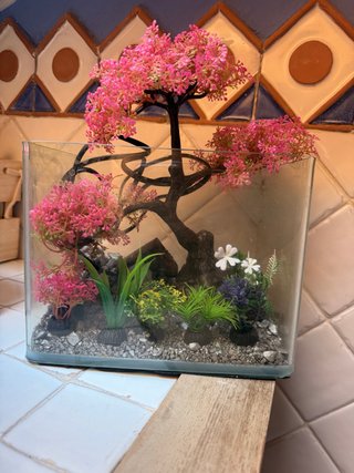 Acuario con filtro y decoración