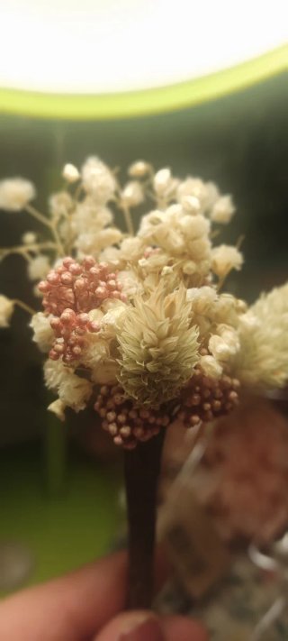 Cuadro Letra R Flores Preservadas