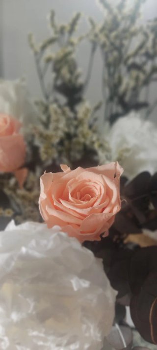 Cuadro Letra R Flores Preservadas