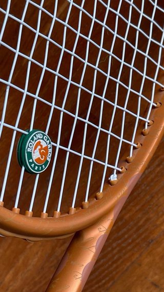 Wilson Blade V8 98 305g 18x20 Roland Garros
