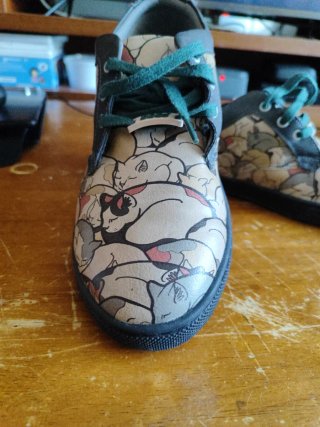 Zapatos Dogo Multicolor tonos gris- verde- beige.