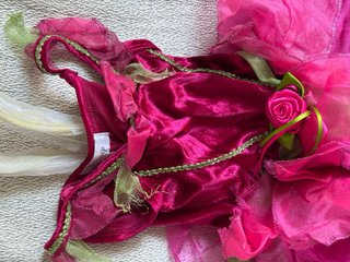 Disfraz Hada Disney Rosa y Verde