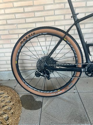 Berria Bravo Carbono 2020