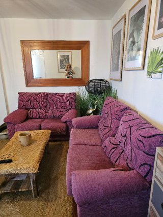 Sofás de salón morados