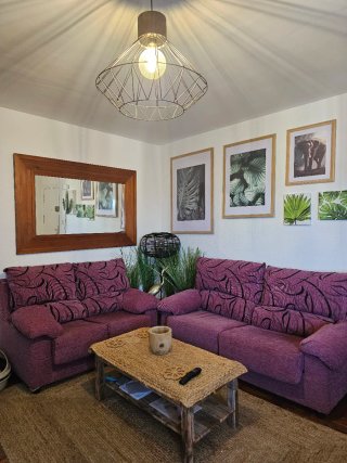 Sofás de salón morados