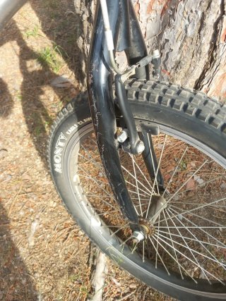 Bicicleta Monty 219 Alp