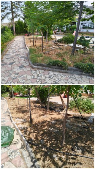 Jardinero y desbroce en cogollos Vega, nivar