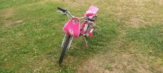 Bicicleta niña rosa con asiento trasero