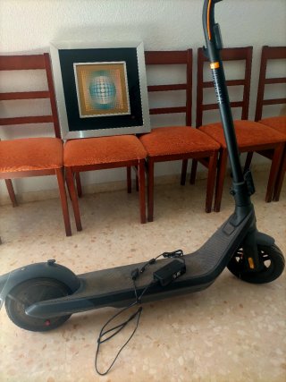 Patinete Eléctrico Ninebot Poco Uso