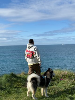 Paseador de perros