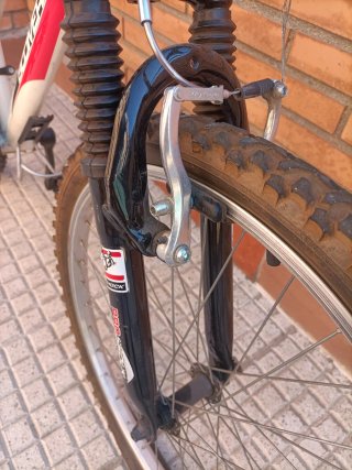 Bicicleta 24"COBRA