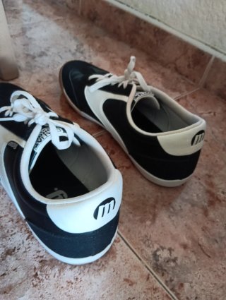 BAMBAS 44