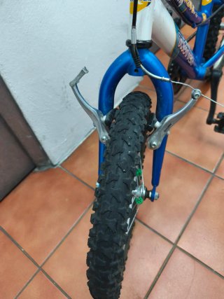 Bici 16 Trotter