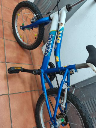 Bici 16 Trotter