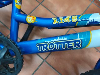 Bici 16 Trotter