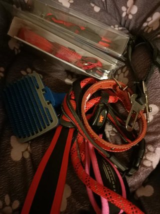 Lote Accesorios para perro Oportunidad