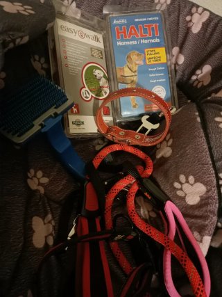 Lote Accesorios para perro Oportunidad