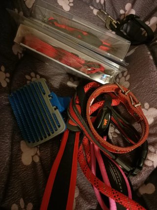 Lote Accesorios para perro Oportunidad