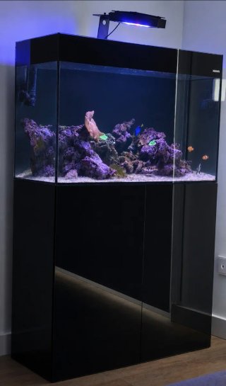 Acuario Marino 125L