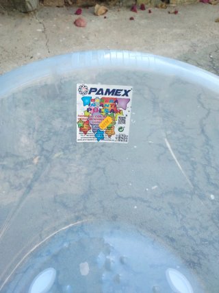 Bañera bebé Pamax transparente