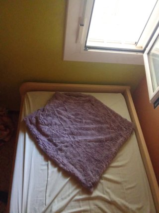Poncho Morado Talla Única