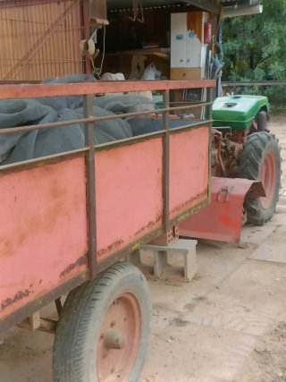 Tractor con remolque agrícola PASCUALI 946