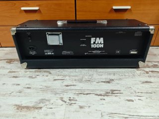 Cabezal Fender FM 100H