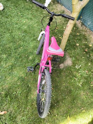 Bicicleta infantil rosa 20