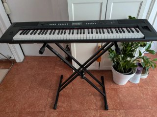 Teclado Yamaha Piaggero NP-V80 con funda