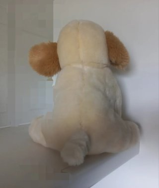 Peluche cane morbido