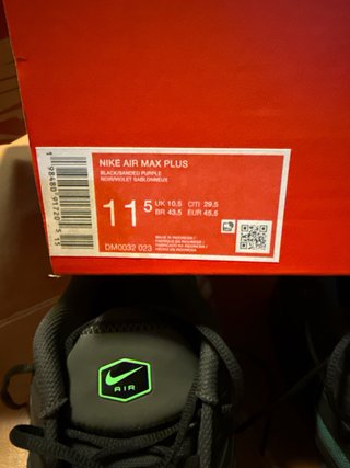 Zapatillas Nike Air Max Plus Negras y Verdes