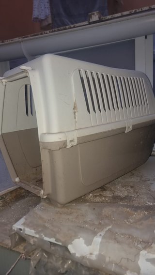 Transportines Perro/Gato (3uds)